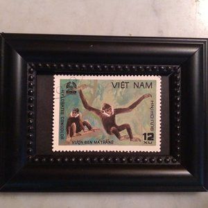 Asian Wildlife - Black Crested Gibbon